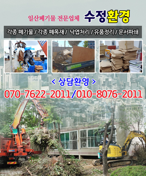 수정환경 모바일 비주얼 0